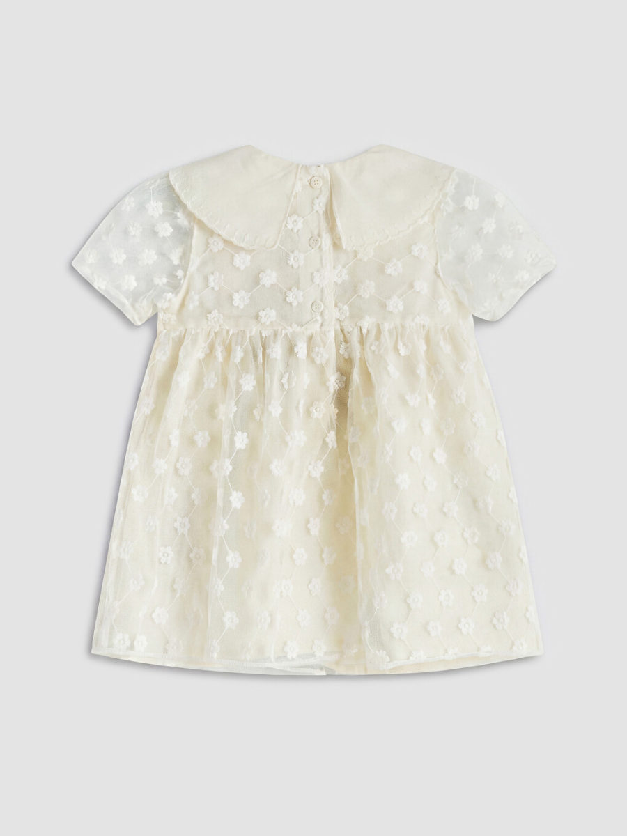 Peter Pan Collar Floral Dress